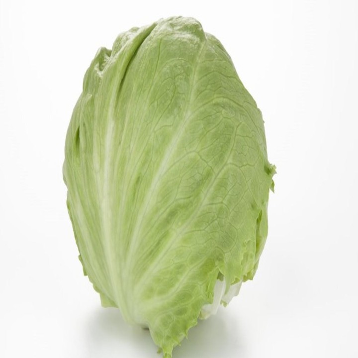 Lettuce Iceberg, 5kg, ES, KG