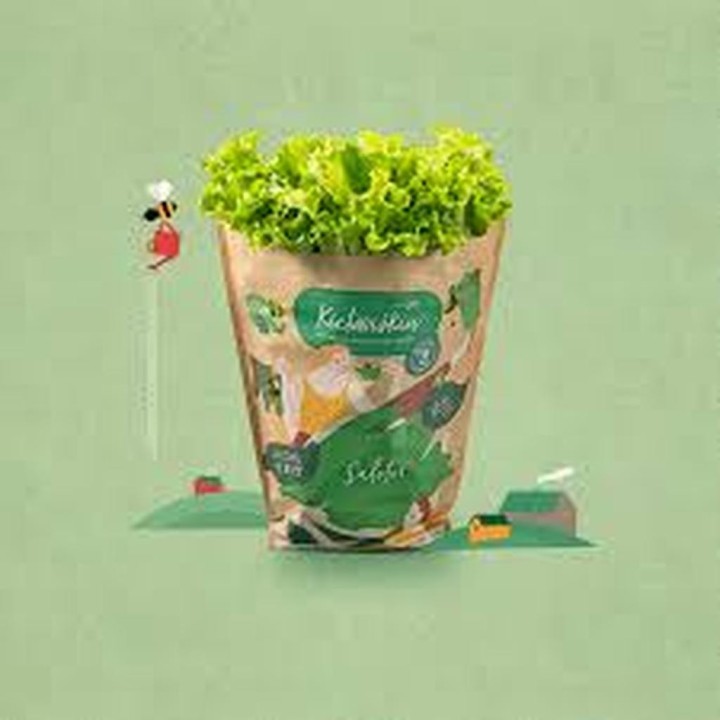 Lettuce in pots, Kietaviskes, LT, PCS