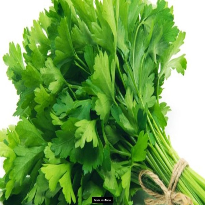 Petražolės lygialapės sver, 5kg, IT, KG