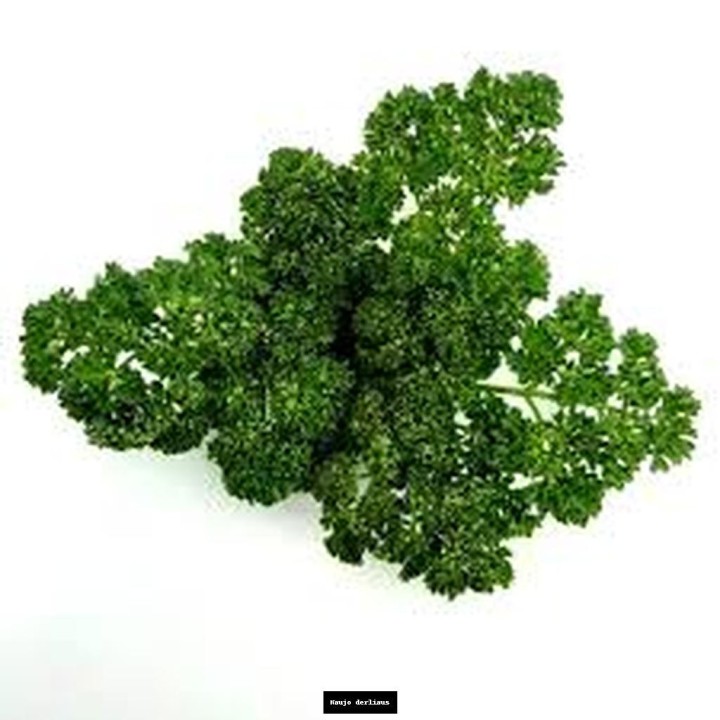 Petražolės garbanotos, 4.5kg, IT, KG