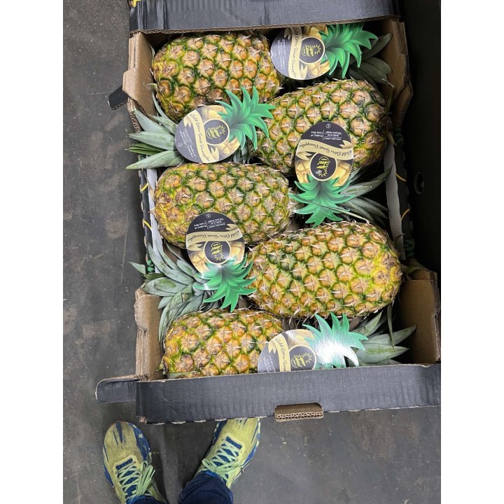 Pineapple by weight big 1.8kg/pcs, CR, KG