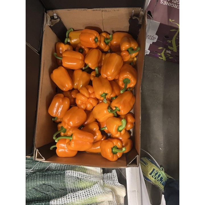 Paprikos oranžinės PIGIOS KARTON. DĖŽ, 2kat., 10kg, KG