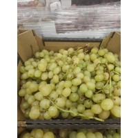 Vynuogės žalios su sėkl REALIOS FOTO "ITALIA" , IT, KG