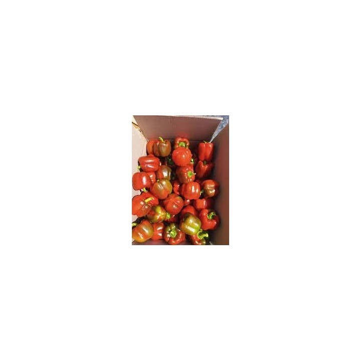 Paprikos raudonos 2 klasė, 10kg, NL, KG