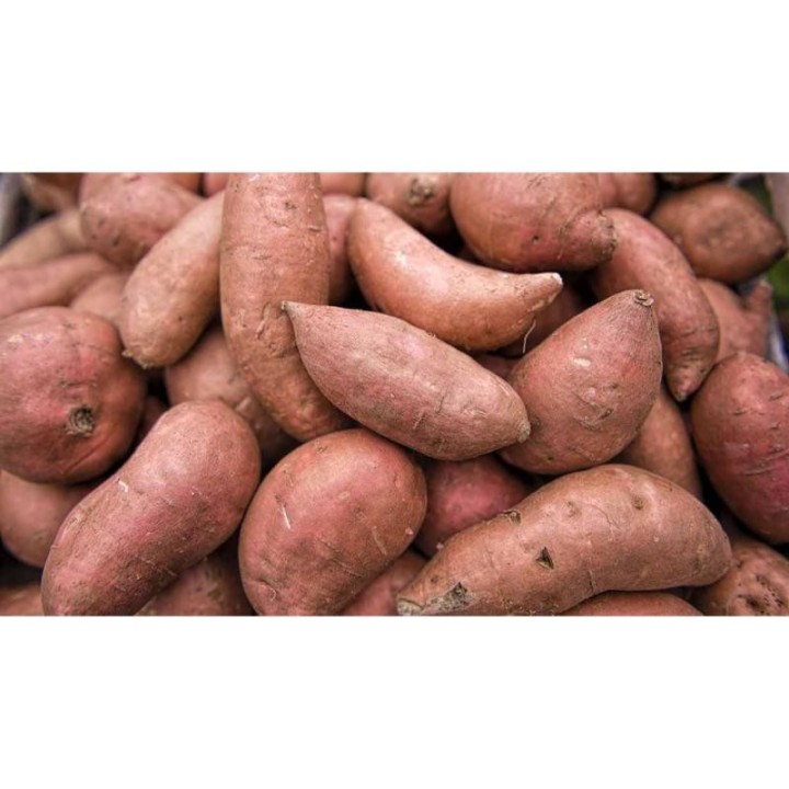 Sweet Potatoes, 6kg, KG