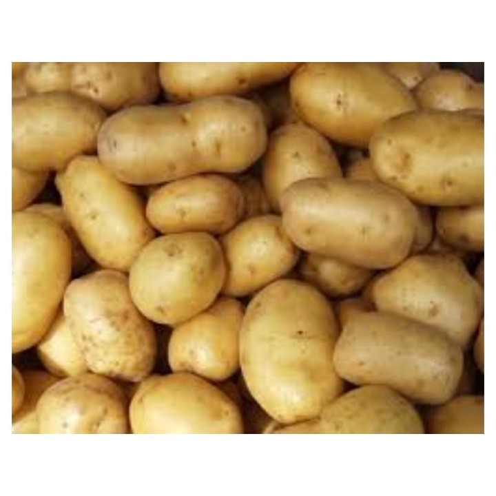 Potatoes mini "Agate", 10kg, FR, KG